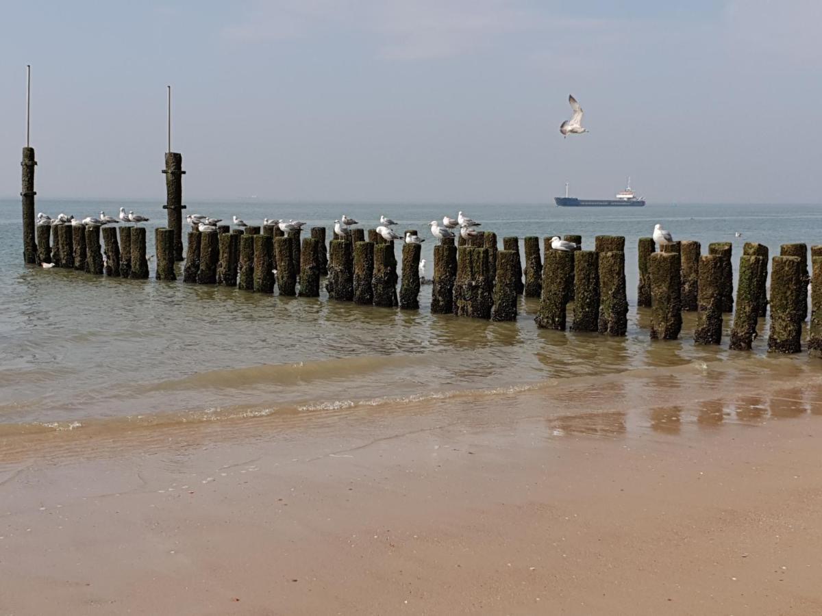 Rijksmonument Havenzicht, Met Zeezicht, Ligging Direct Aan Zee En Centrum Vlissingen Exteriör bild